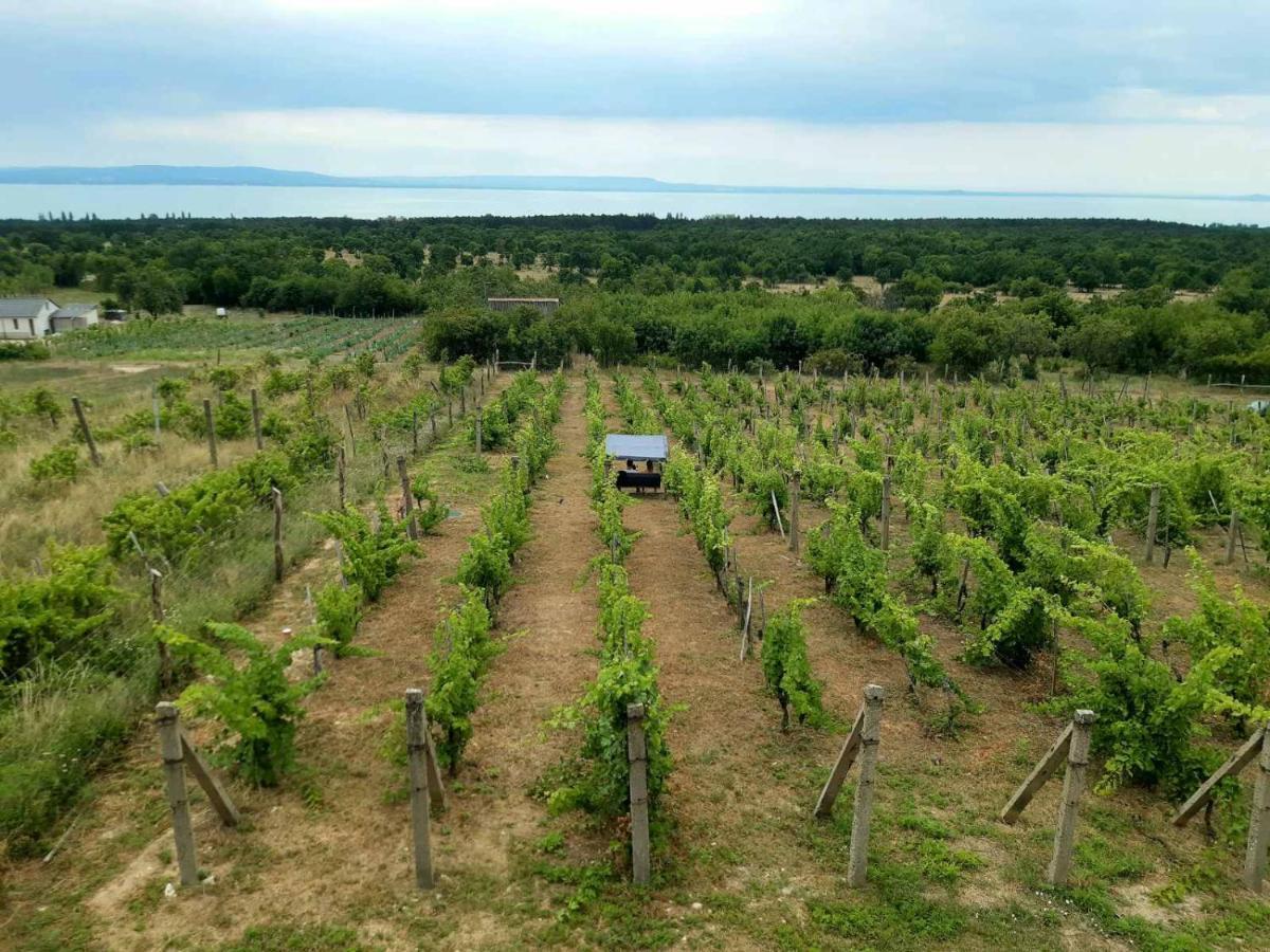 Napraszallas Vendeghaz Balatonakali Exterior photo