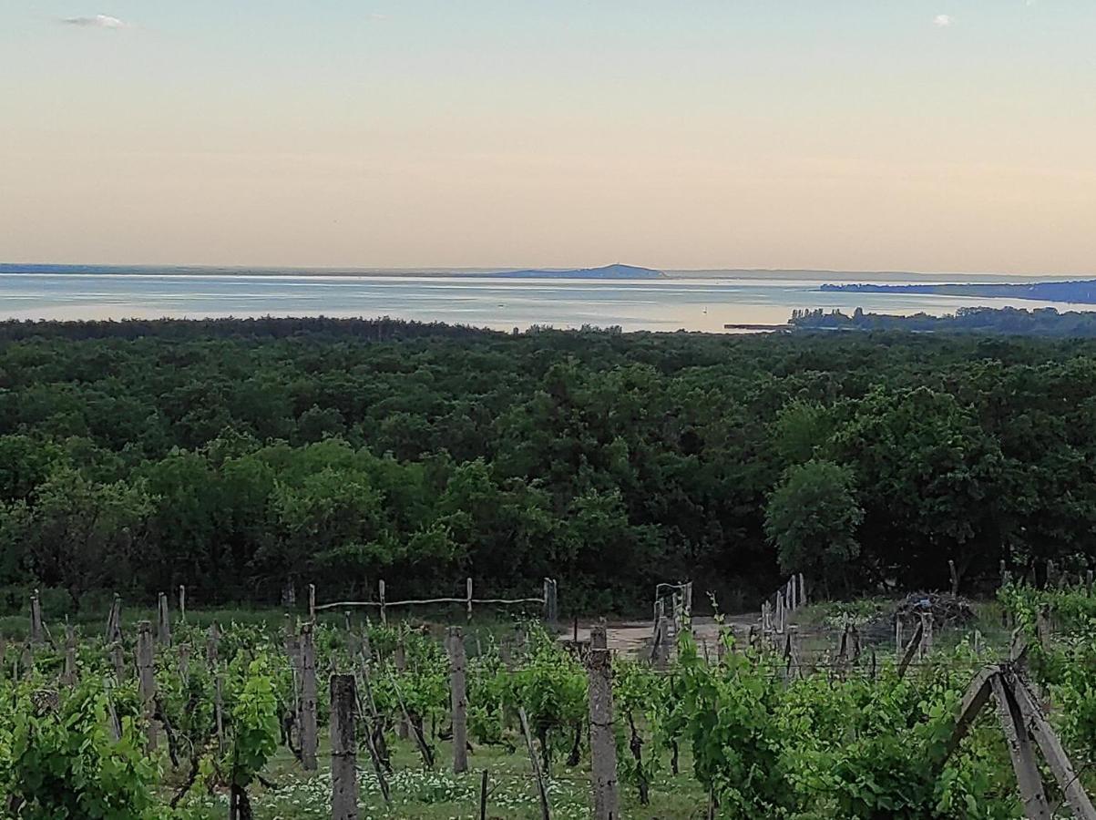 Napraszallas Vendeghaz Balatonakali Exterior photo