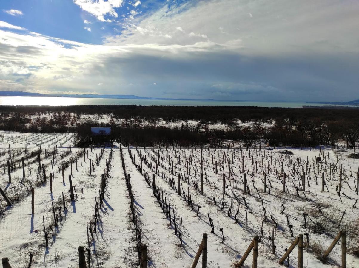 Napraszallas Vendeghaz Balatonakali Exterior photo